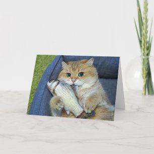 Hosico and the fish card