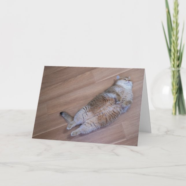 Hosico flies card (Front)