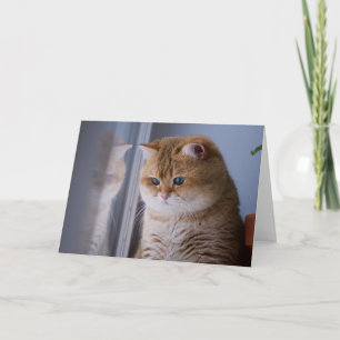 Hosico fluffy cheeks card