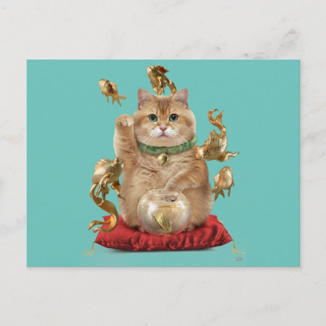 Hosico Maneki-neko Postcard (Front)