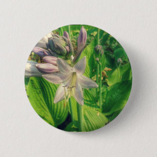 Hosta 6 Cm Round Badge