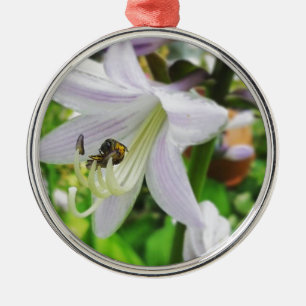 Hosta and an insect metal tree decoration