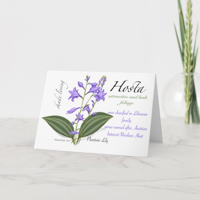 Hosta Blank Card (Front)