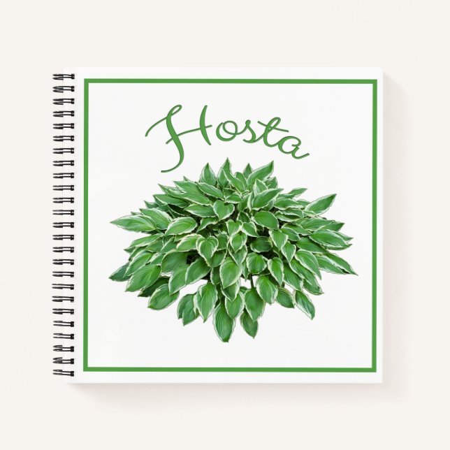 Hosta Design Square Spiral Notebook (Front)