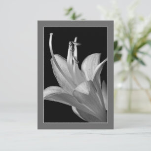 Hosta Flower Ornate Black and White Flat Card