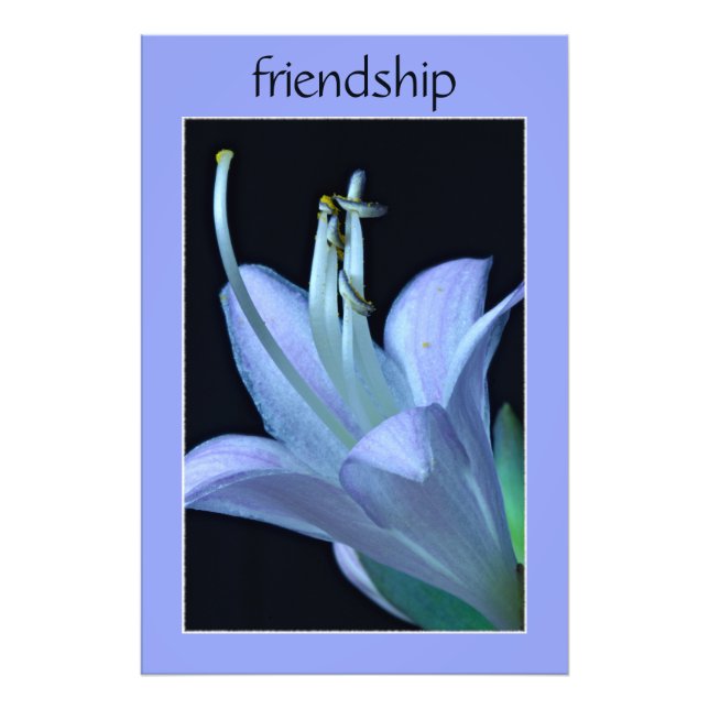 Hosta Flower Ornate Purple Friendship Photo Print (Front)