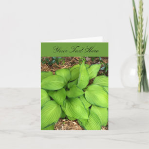 Hosta Green Leaves Greeting Card
