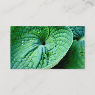 Hosta Heart Business Card