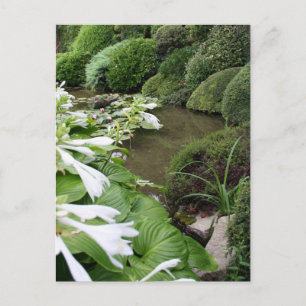 Hosta in a Zen Garden 1 Postcard
