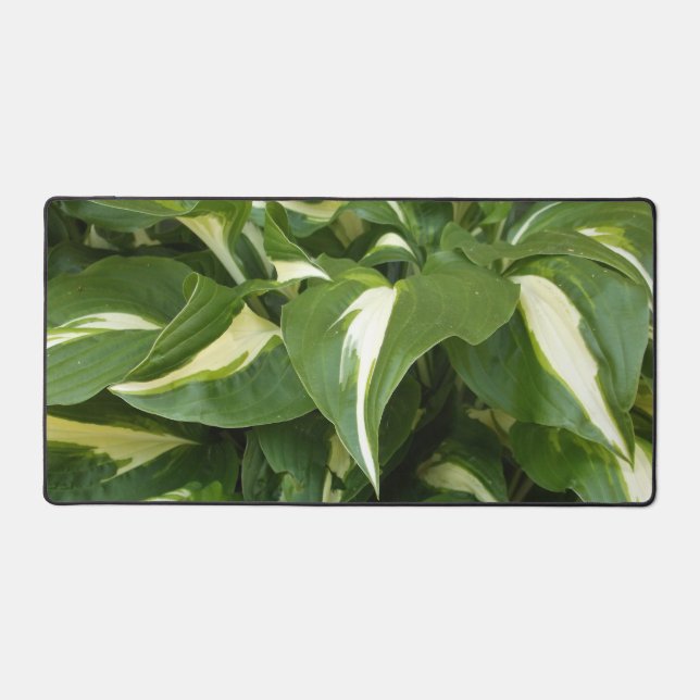 Hosta Leaves Desk Mat (Front)