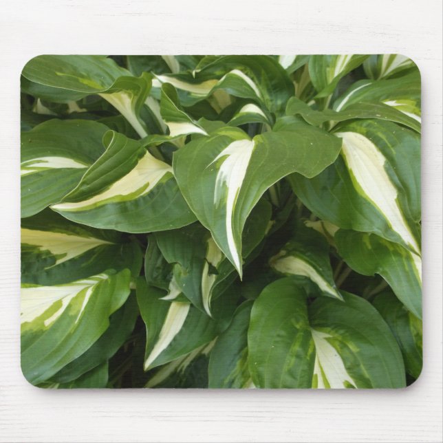 Hosta Leaves Mouse Pad (Front)