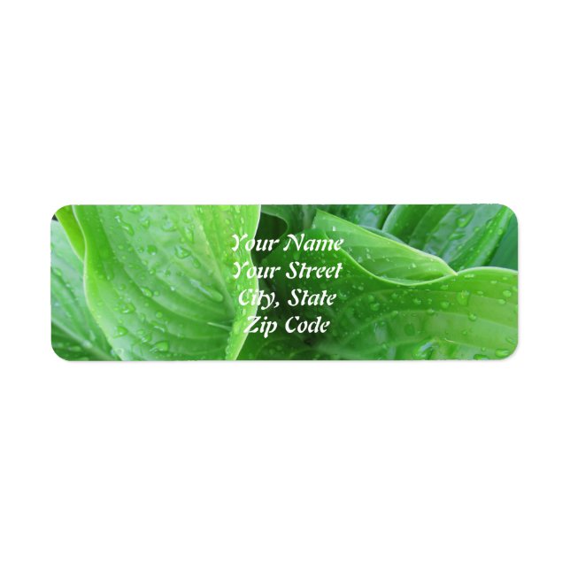 Hosta Leaves Return Address Labels (Front)