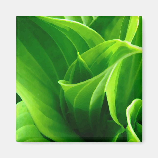 Hosta Magnet (Front)