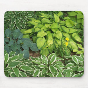 Hosta Mouse Pad