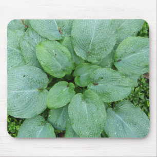 Hosta Mousepad