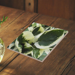 Hosta Plant Leaves Floral Tile