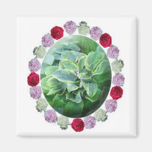 Hosta w/ Red White Pink Peonies Gardening Magnet