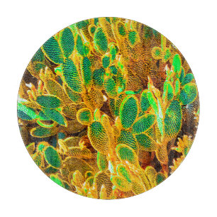 Hot Africa Desert Cactus Plants Prickly Pear Cutting Board