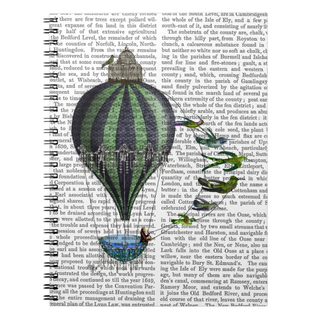 Hot Air Balloon and Birds Notebook (Front)