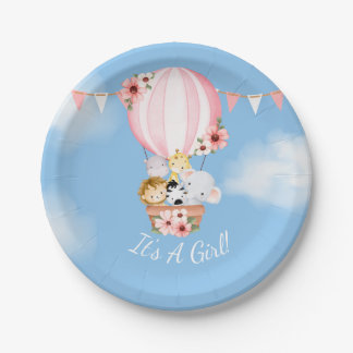 Hot Air Balloon Baby Girl Shower Paper Plate