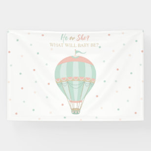 Hot air balloon Gender reveal Backdrop Banner