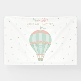 Hot air balloon Gender reveal Backdrop Banner
