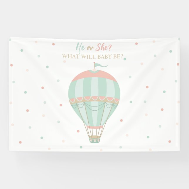 Hot air balloon Gender reveal Backdrop Banner (Horizontal)