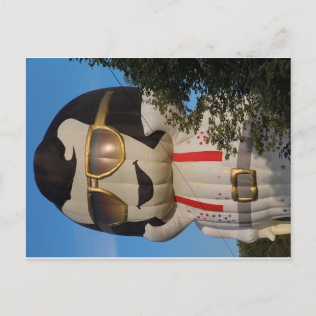 Hot air balloon in Binghamton, NY Postcard (Front)