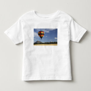 Hot Air Balloon near Wanaka, South Island, New Toddler T-Shirt