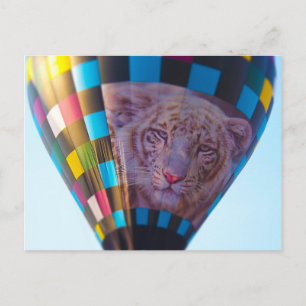 Hot Air Balloon, Snow Leopard, Olathe, Kansas Postcard