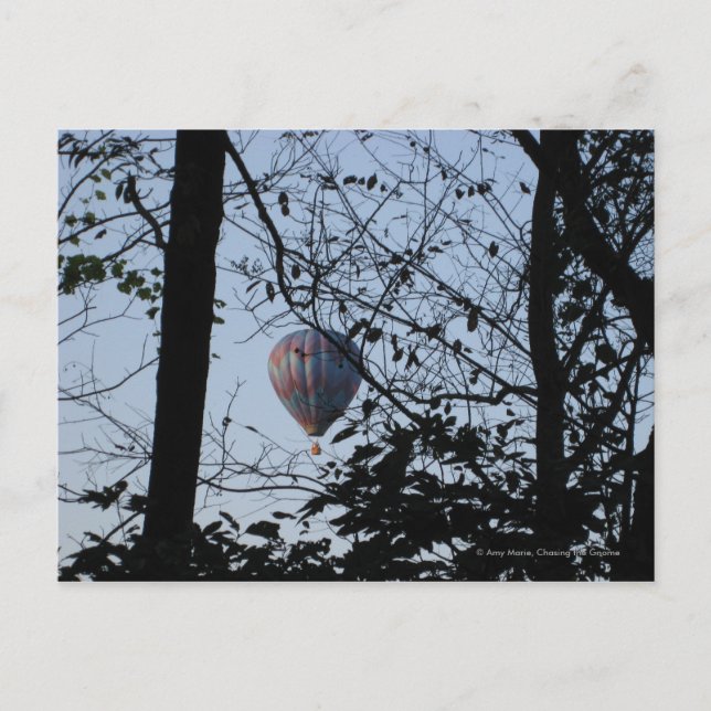 Hot air balloon Through Trees Postcard (Front)