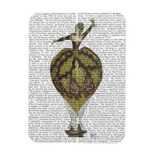Hot Air Balloon Woman 1 Magnet