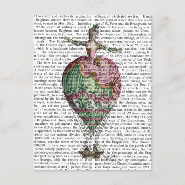 Hot Air Balloon Woman 2 Postcard (Front)