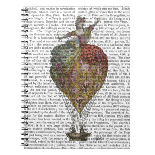 Hot Air Balloon Woman 3 Notebook