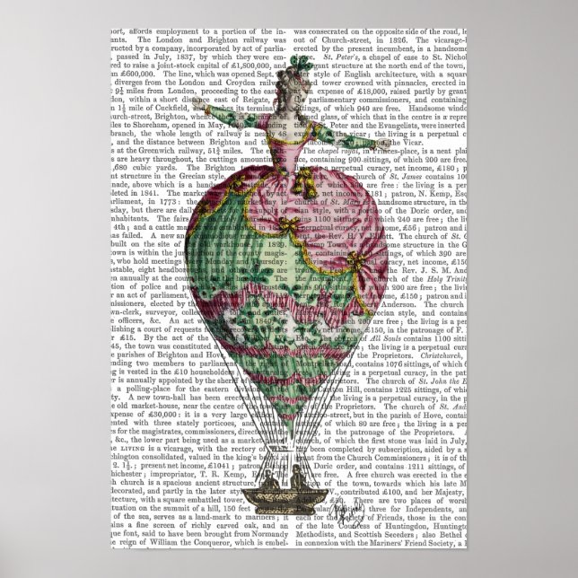 Hot Air Balloon Woman Poster (Front)