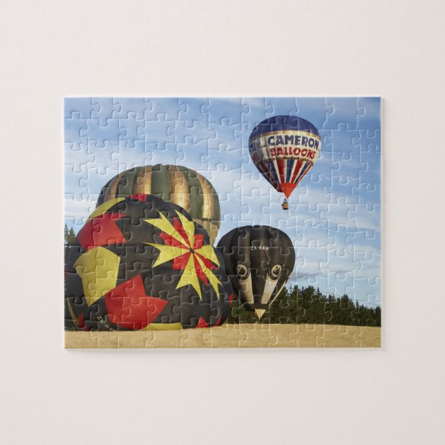 Hot Air Balloons near Wanaka, South Island, New Jigsaw Puzzle (Horizontal)