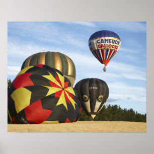 Hot Air Balloons near Wanaka, South Island, New Poster