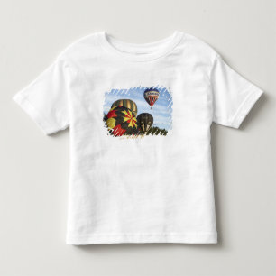 Hot Air Balloons near Wanaka, South Island, New Toddler T-Shirt