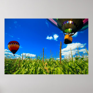 Hot Air Balloons Poster