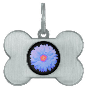 Hot and Cold Marigold Pet Tag