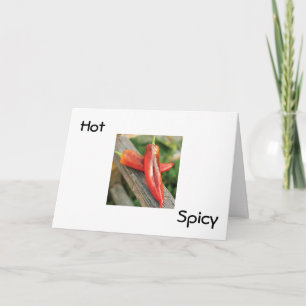 HOT AND SPICY CINCO DE MAYO WISHES CARD