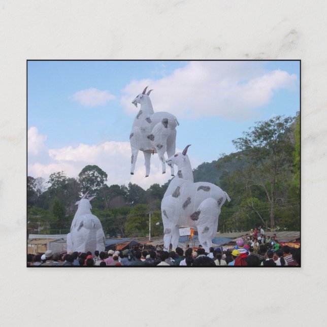 Hot Balloon Festival 1 Postcard (Front)