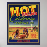 Hot Brand California Vegetables
