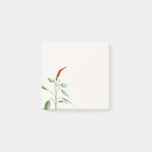 Hot Chilli Pepper Plant Botanical Illustration Post-it Notes