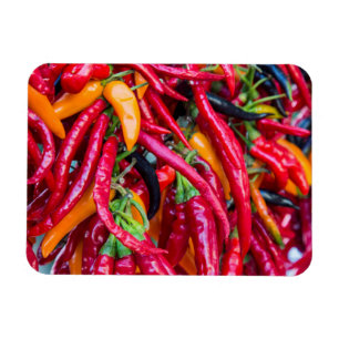 Hot Chilli Peppers At Farmers Market In Madison Magnet