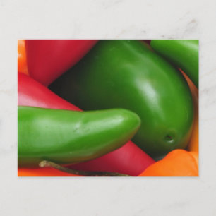 Hot Cihilis Postcard