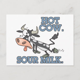 hot cow sour milk funny cartoon moo cow postcard