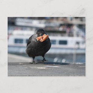 Hot dog hunter postcard