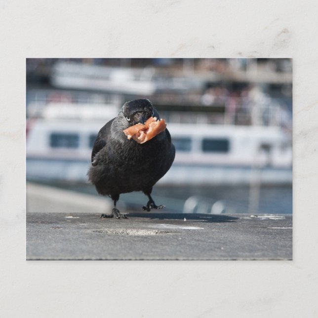 Hot dog hunter postcard (Front)