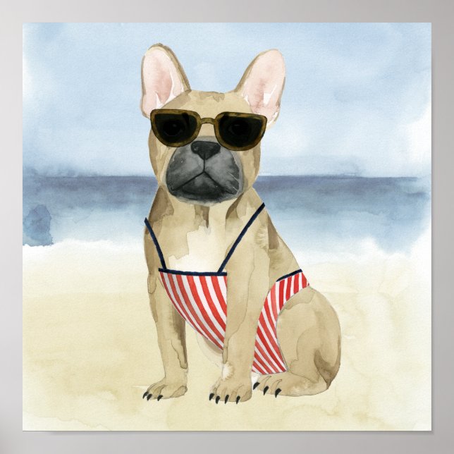 Hot Dog | Puppy In Sunglasses At The Beach Poster (Front)